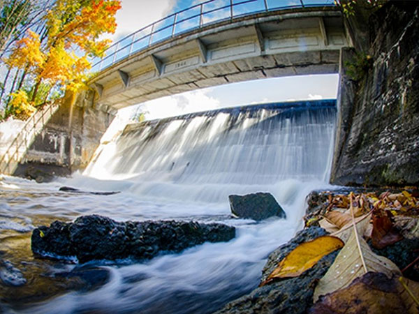 Holstein dam viewed from below.