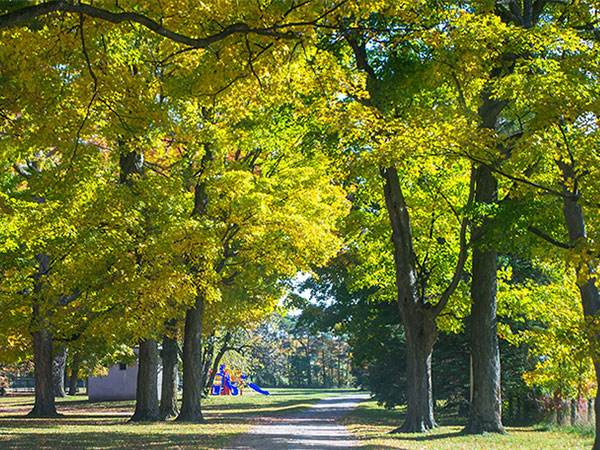 Jubilee Park