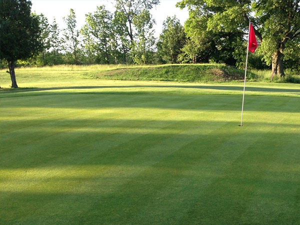 Mount Forest Golf Club green