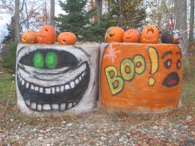 Halowe'en decorated large round bales.