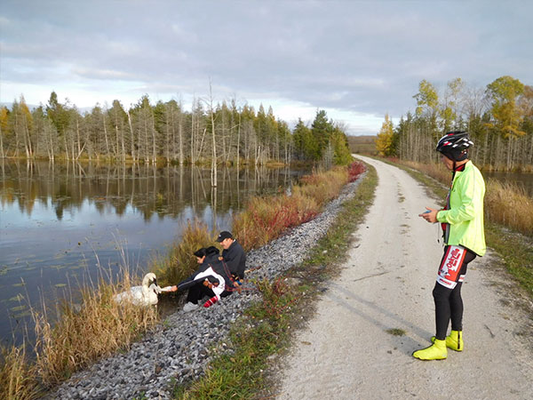 ATV club trail near a lake, people looking at swans.