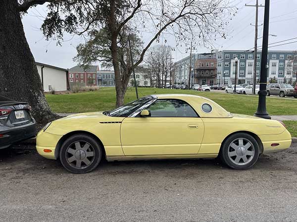 yellow Thunderbird