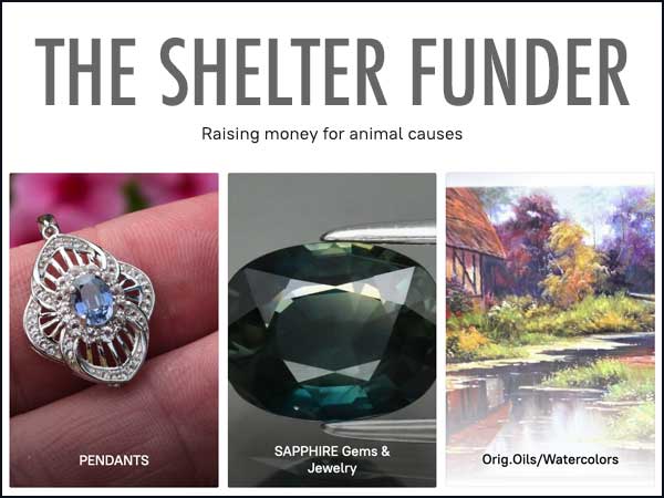 The Shelter Funder
