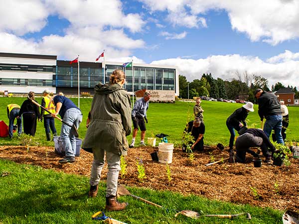 Transform the lawn event