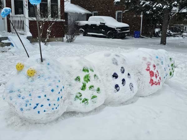 A snow caterpillar