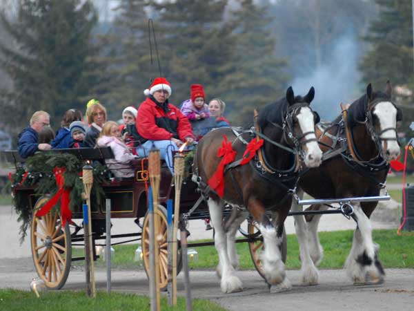 Horse drawn carriage in West Grey