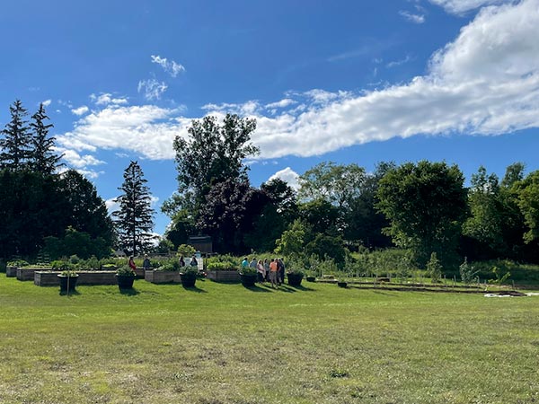 Community gardens from a distance.