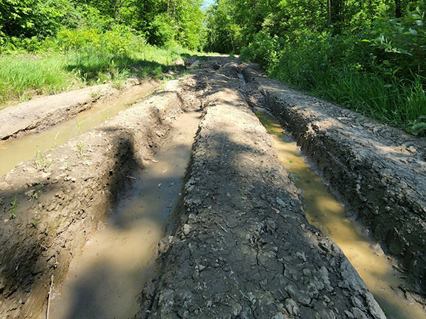 Deep ruts on a muddy trail.